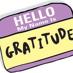 videodesignzz