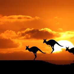 aussiewriter