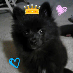 haleyann