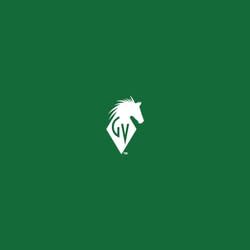 vongketnoi