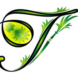 taczhidesign00