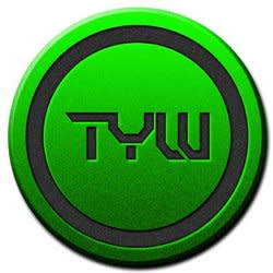 theyoungwriter