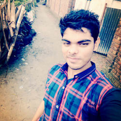 ingamul