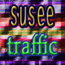 susee_traffic