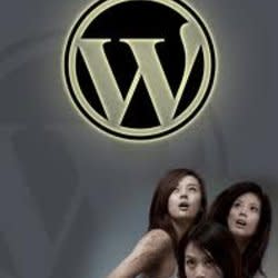 wordpress_seo