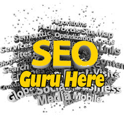 seoguruhere