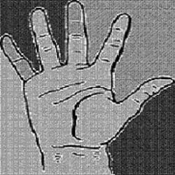 highfivegig