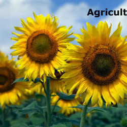 agrismart