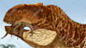 draw dinosaurs and other prehistoric creatures
