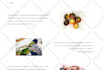 fix bugs, errors, and issues in your wordpress website within 6 hours