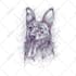 draw your pet into awesome scribble art