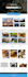 develop dropshipping or ecommerce wordpress website