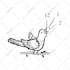draw black and white line art of your picture