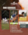 create custom canva instagram post templates