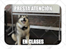 design creative potentially viral memes