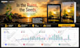 run targeted amazon KDP ads campaign for book promotion,  ebook marketing expert