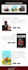 develop a dynamic wordpress landing page and single page website with elementor