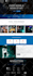 build modern and responsive wordpress website design