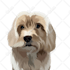 draw illustration animal pet cartoon vector potrait