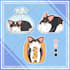 design cute aesthetic stickers for your merch or business
