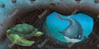 illustrate childrens book pages for you