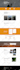 develop any type of professional wordpress website you need