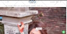 develop your custom website or be your website developer