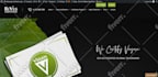 develop or redesign wordpress website, blog for business