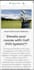build responsive wordpress website or blog development