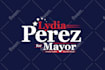 do unique political campaign logo design