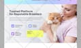 design a high end website ui ux for your business in figma