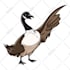 create cute animal cartoon design