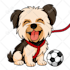 draw your pet cartoon in chibi kawaii style