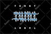 design ambigram, tattoo, flipped lettering for you