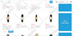build a professional ecommerce website with shopify