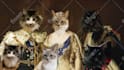 create custom royal pet portrait renaissance historical pet illustration