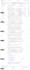 write enthralling SEO website content and copy
