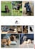 design  flyer for your business or social media