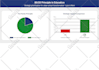 design an engaging infographic, diagram, or pie chart in 24h