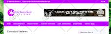 design responsive website with animations