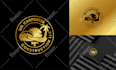 do amazing vintage and hand drawn logo for your business