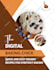 write and design lead magnet, ebook, pdf