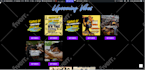 build responsive wordpress website or ecommerce website