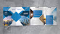 do company profile, annual report or business brochure design