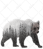 crafting enchanting double exposure designs for you