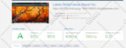 shopify speed optimization, shopify website speed, shopify pagespeed score up