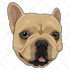 draw cartoon illustration portrait for dog, cat or any pet