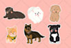 draw cute kawaii chibi animals, pets, illustration, food, logo