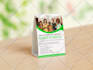 design table tent, postcard, promotional poster, and billboard