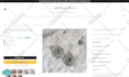 fix any bug or do theme customization of your shopify store
